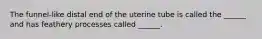 The funnel-like distal end of the uterine tube is called the ______ and has feathery processes called ______.