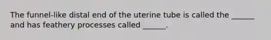 The funnel-like distal end of the uterine tube is called the ______ and has feathery processes called ______.