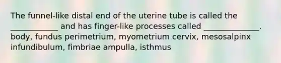 The funnel-like distal end of the uterine tube is called the ____________ and has finger-like processes called ______________. body, fundus perimetrium, myometrium cervix, mesosalpinx infundibulum, fimbriae ampulla, isthmus