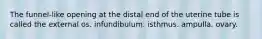 The funnel-like opening at the distal end of the uterine tube is called the external os. infundibulum. isthmus. ampulla. ovary.