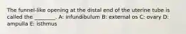 The funnel-like opening at the distal end of the uterine tube is called the ________. A: infundibulum B: external os C: ovary D: ampulla E: isthmus