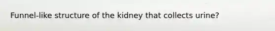 Funnel-like structure of the kidney that collects urine?