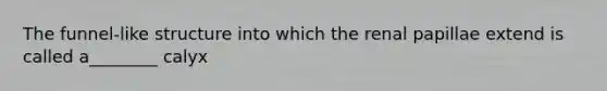 The funnel-like structure into which the renal papillae extend is called a________ calyx