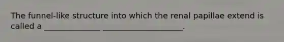 The funnel-like structure into which the renal papillae extend is called a ______________ ____________________.