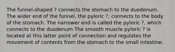 The funnel-shaped ? connects <a href='https://www.questionai.com/knowledge/kLccSGjkt8-the-stomach' class='anchor-knowledge'>the stomach</a> to the duodenum. The wider end of the funnel, the pyloric ?, connects to the body of the stomach. The narrower end is called the pyloric ?, which connects to the duodenum The smooth muscle pyloric ? is located at this latter point of connection and regulates the movement of contents from the stomach to <a href='https://www.questionai.com/knowledge/kt623fh5xn-the-small-intestine' class='anchor-knowledge'>the small intestine</a>.