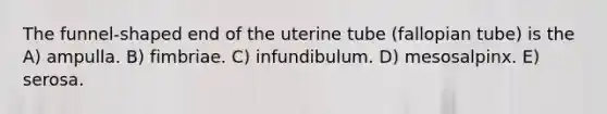 The funnel-shaped end of the uterine tube (fallopian tube) is the A) ampulla. B) fimbriae. C) infundibulum. D) mesosalpinx. E) serosa.