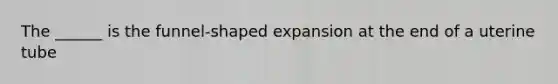 The ______ is the funnel-shaped expansion at the end of a uterine tube