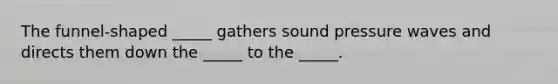 The funnel-shaped _____ gathers sound pressure waves and directs them down the _____ to the _____.