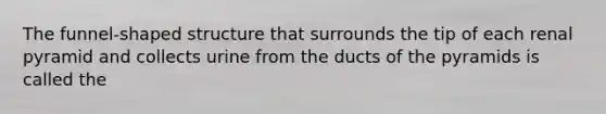 The funnel-shaped structure that surrounds the tip of each renal pyramid and collects urine from the ducts of the pyramids is called the