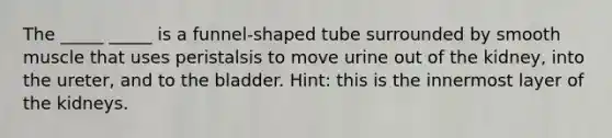 The _____ _____ is a funnel-shaped tube surrounded by smooth muscle that uses peristalsis to move urine out of the kidney, into the ureter, and to the bladder. Hint: this is the innermost layer of the kidneys.