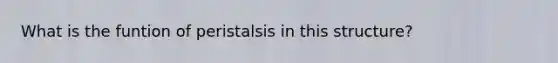 What‌ ‌is‌ ‌the‌ ‌funtion‌ ‌of‌ ‌peristalsis‌ ‌in‌ ‌this‌ ‌structure?‌ ‌