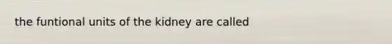 the funtional units of the kidney are called