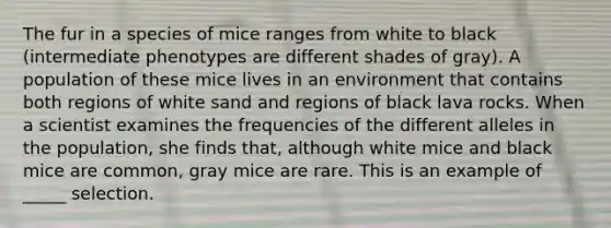 The fur in a species of mice ranges from white to black (intermediate phenotypes are different shades of gray). A population of these mice lives in an environment that contains both regions of white sand and regions of black lava rocks. When a scientist examines the frequencies of the different alleles in the population, she finds that, although white mice and black mice are common, gray mice are rare. This is an example of _____ selection.