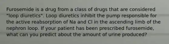 Furosemide is a drug from a class of drugs that are considered "loop diuretics". Loop diuretics inhibit the pump responsible for the active reabsorption of Na and Cl in the ascending limb of the nephron loop. If your patient has been prescribed furosemide, what can you predict about the amount of urine produced?