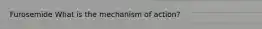 Furosemide What is the mechanism of action?