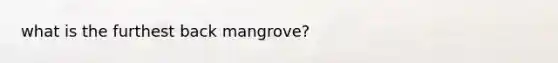 what is the furthest back mangrove?