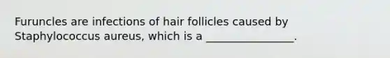 Furuncles are infections of hair follicles caused by Staphylococcus aureus, which is a ________________.