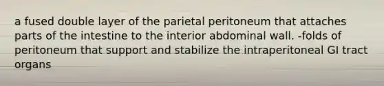 a fused double layer of the parietal peritoneum that attaches parts of the intestine to the interior abdominal wall. -folds of peritoneum that support and stabilize the intraperitoneal GI tract organs