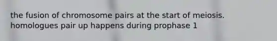 the fusion of chromosome pairs at the start of meiosis. homologues pair up happens during prophase 1