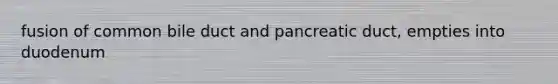 fusion of common bile duct and pancreatic duct, empties into duodenum