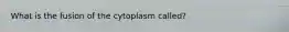 What is the fusion of the cytoplasm called?