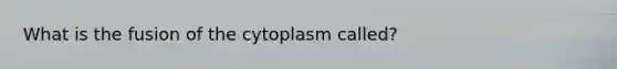 What is the fusion of the cytoplasm called?