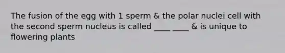 The fusion of the egg with 1 sperm & the polar nuclei cell with the second sperm nucleus is called ____ ____ & is unique to flowering plants