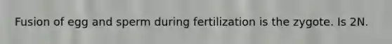 Fusion of egg and sperm during fertilization is the zygote. Is 2N.