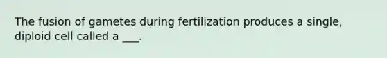 The fusion of gametes during fertilization produces a single, diploid cell called a ___.