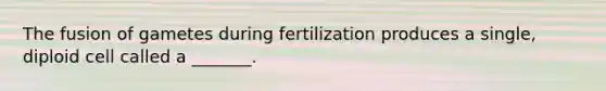 The fusion of gametes during fertilization produces a single, diploid cell called a _______.