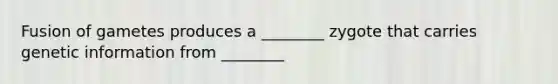 Fusion of gametes produces a ________ zygote that carries genetic information from ________
