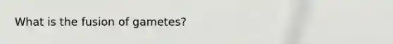 What is the fusion of gametes?