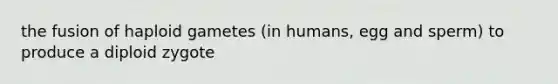 the fusion of haploid gametes (in humans, egg and sperm) to produce a diploid zygote