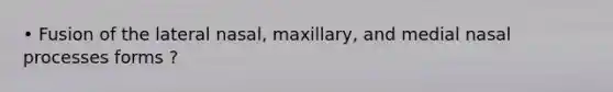 • Fusion of the lateral nasal, maxillary, and medial nasal processes forms ?