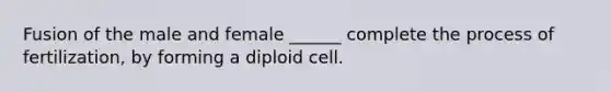 Fusion of the male and female ______ complete the process of fertilization, by forming a diploid cell.