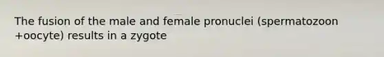 The fusion of the male and female pronuclei (spermatozoon +oocyte) results in a zygote