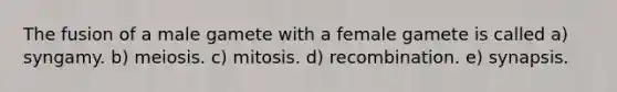 The fusion of a male gamete with a female gamete is called a) syngamy. b) meiosis. c) mitosis. d) recombination. e) synapsis.