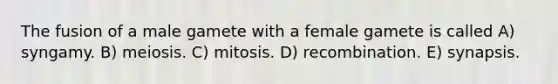 The fusion of a male gamete with a female gamete is called A) syngamy. B) meiosis. C) mitosis. D) recombination. E) synapsis.