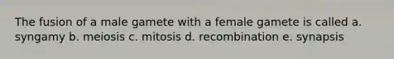 The fusion of a male gamete with a female gamete is called a. syngamy b. meiosis c. mitosis d. recombination e. synapsis