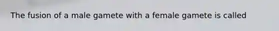 The fusion of a male gamete with a female gamete is called