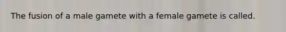 The fusion of a male gamete with a female gamete is called.