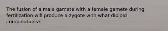 The fusion of a male gamete with a female gamete during fertilization will produce a zygote with what diploid combinations?