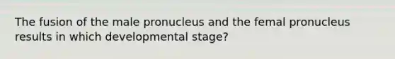 The fusion of the male pronucleus and the femal pronucleus results in which developmental stage?