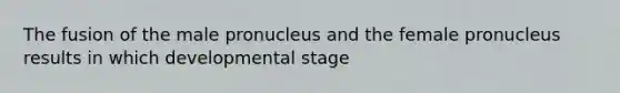 The fusion of the male pronucleus and the female pronucleus results in which developmental stage