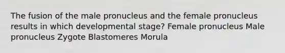 The fusion of the male pronucleus and the female pronucleus results in which developmental stage? Female pronucleus Male pronucleus Zygote Blastomeres Morula