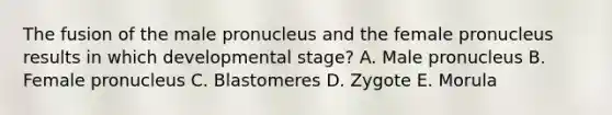 The fusion of the male pronucleus and the female pronucleus results in which developmental stage? A. Male pronucleus B. Female pronucleus C. Blastomeres D. Zygote E. Morula