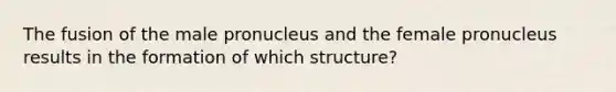 The fusion of the male pronucleus and the female pronucleus results in the formation of which structure?