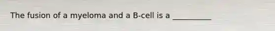 The fusion of a myeloma and a B-cell is a __________