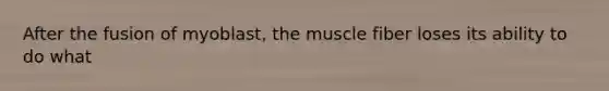 After the fusion of myoblast, the muscle fiber loses its ability to do what