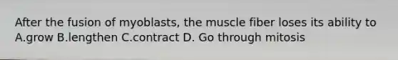 After the fusion of myoblasts, the muscle fiber loses its ability to A.grow B.lengthen C.contract D. Go through mitosis